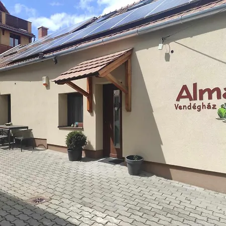 Guest house Alma Vendeghaz *
